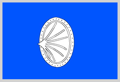 Znak obce